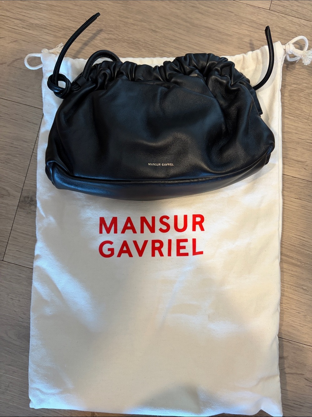 Mansur Gavriel Mini Cloud Pouch